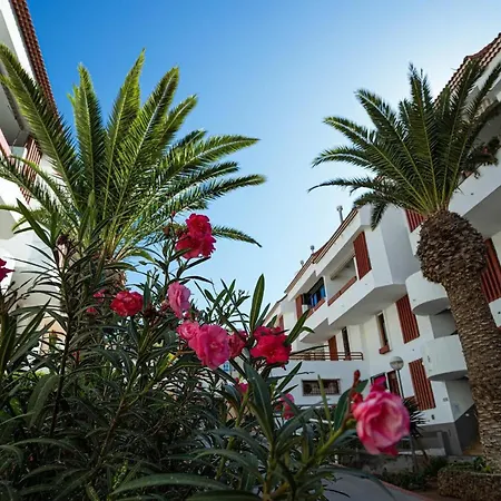 Precious Duplex Altemar, Playa Americas Arona شقة